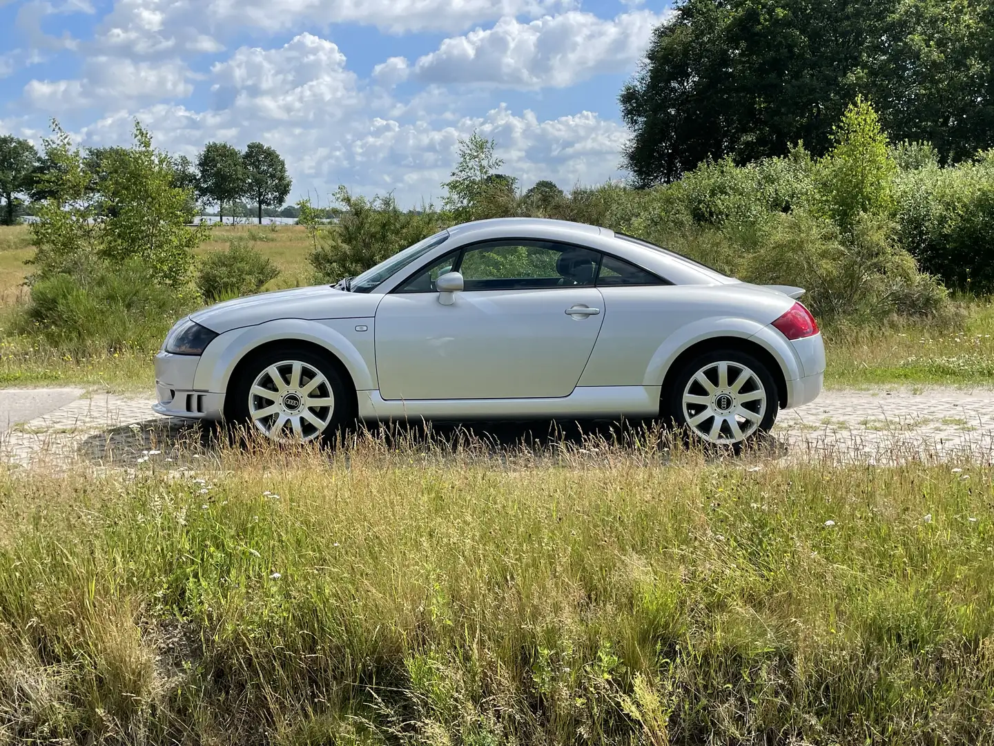 Audi TT 1.8 5V Turbo siva - 1