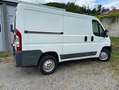Peugeot Boxer Boxer   L1H1 Weiß - thumbnail 6