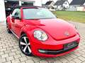 Volkswagen Beetle Cabrio Exclusive Sport*TEMP*NAVI*PDC*SHZ* Rot - thumbnail 6
