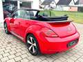 Volkswagen Beetle Cabrio Exclusive Sport*TEMP*NAVI*PDC*SHZ* Rot - thumbnail 15