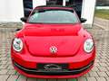 Volkswagen Beetle Cabrio Exclusive Sport*TEMP*NAVI*PDC*SHZ* Rot - thumbnail 5