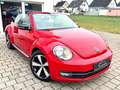 Volkswagen Beetle Cabrio Exclusive Sport*TEMP*NAVI*PDC*SHZ* Rot - thumbnail 8