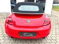 Volkswagen Beetle Cabrio Exclusive Sport*TEMP*NAVI*PDC*SHZ* Rot - thumbnail 10