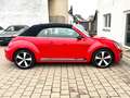 Volkswagen Beetle Cabrio Exclusive Sport*TEMP*NAVI*PDC*SHZ* Rot - thumbnail 7
