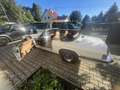 Jaguar XJS XJSC V12 Automatik Convertible - thumbnail 9