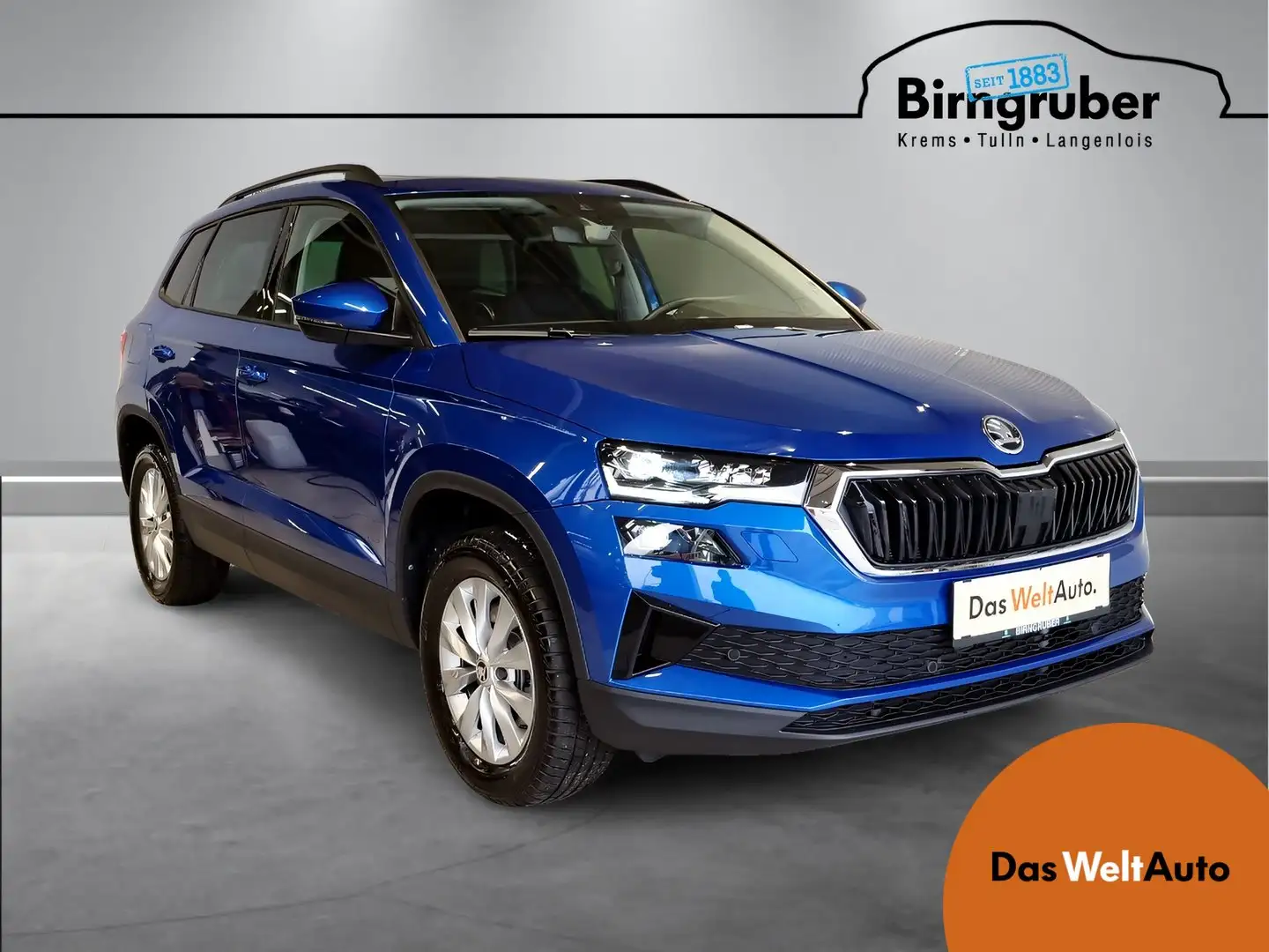 Skoda Karoq Selection TDI Blau - 1