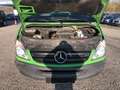 Mercedes-Benz Sprinter 513 CDI Automatik*AHK*Regalausbau*Zusatzheiz*1.Hd* Grün - thumbnail 3