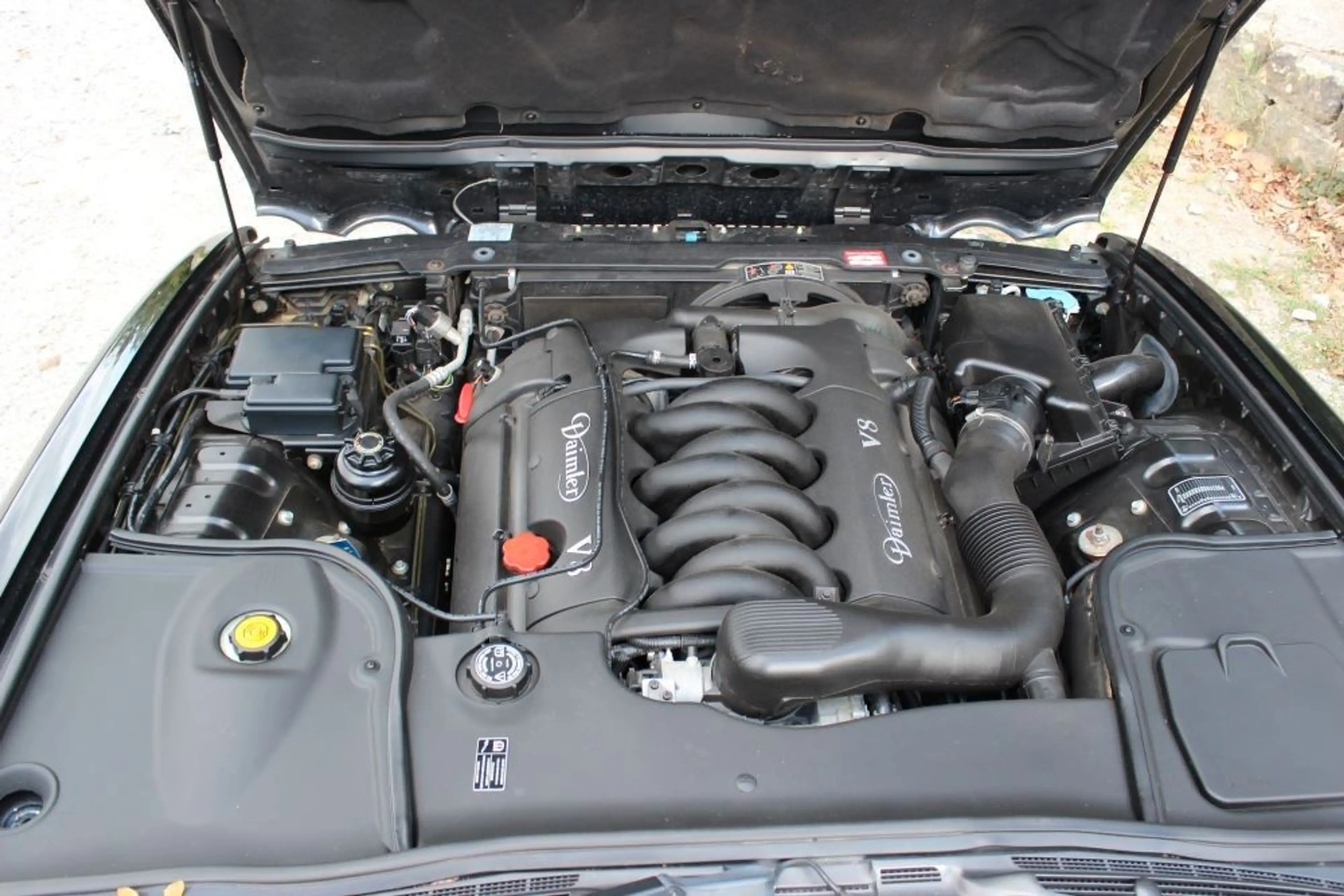 Jaguar Daimler V8 mit Einzelsitzanlage 3 Jahre Garantie — photo 14
