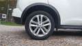 Nissan Juke I 1.6 2WD 117 Tekna Blanc - thumbnail 16