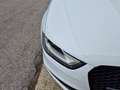 Audi A4 A4  Avant Avant 2.0 tdi bui quattro 177cv s-tronic Bianco - thumbnail 15