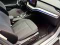 Skoda Octavia Style *2l*VIRTUAL*NAVI*HEAD-UP*MEMORY* Grau - thumbnail 29