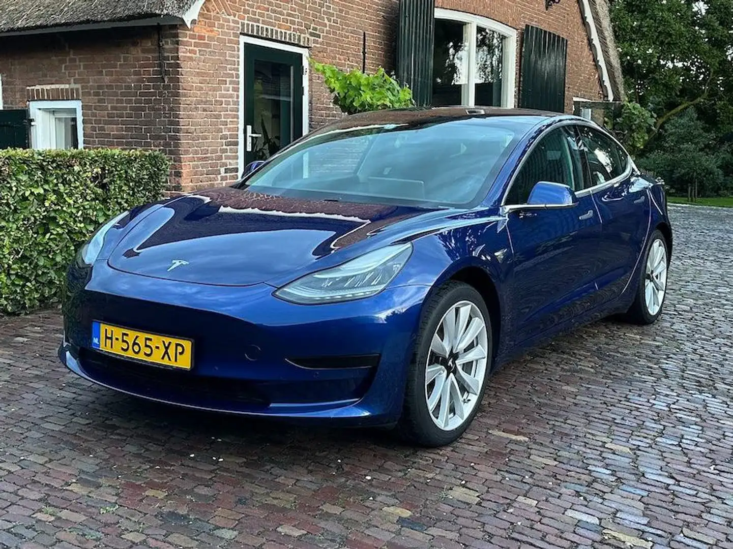 Tesla Model 3 Model 3 Stnd.RWD Plus 60 kWh TREKHAAK Albastru - 1