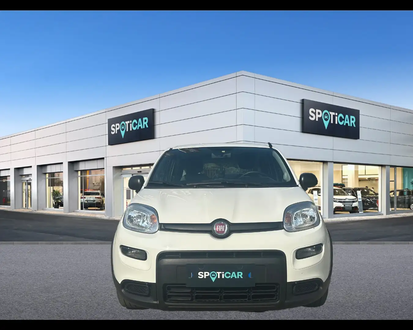 Fiat New Panda 1.0 FireFly Hybrid City Life Blanc - 2