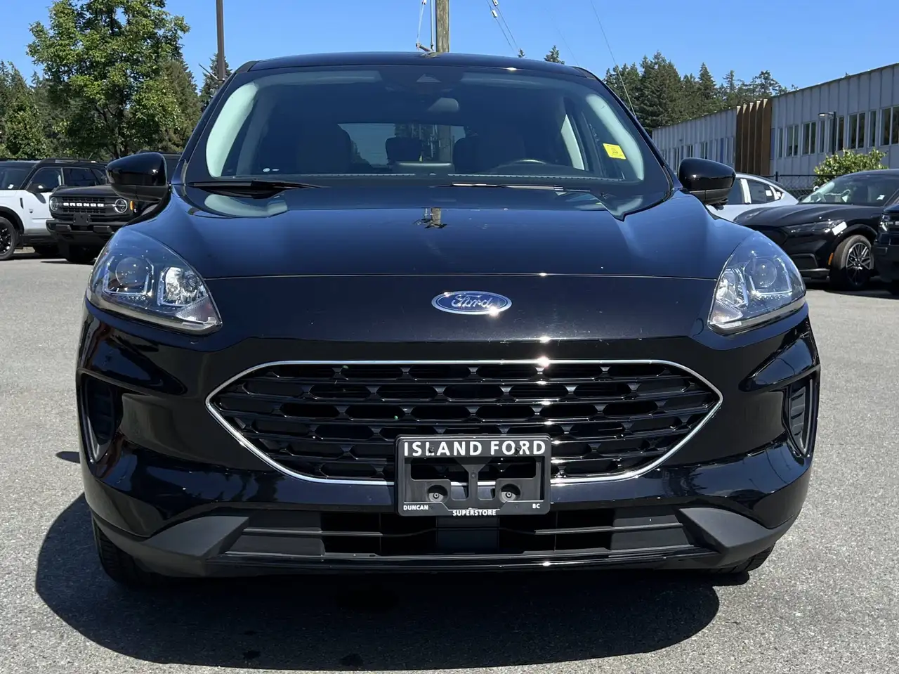 Ford Escape fotografie Ford Escape