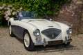 Austin-Healey 100 Roadster 100M Specification Recorded in the 'Austi Wit - thumbnail 41