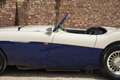 Austin-Healey 100 Roadster 100M Specification Recorded in the 'Austi Wit - thumbnail 40