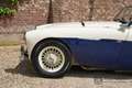 Austin-Healey 100 Roadster 100M Specification Recorded in the 'Austi Wit - thumbnail 42