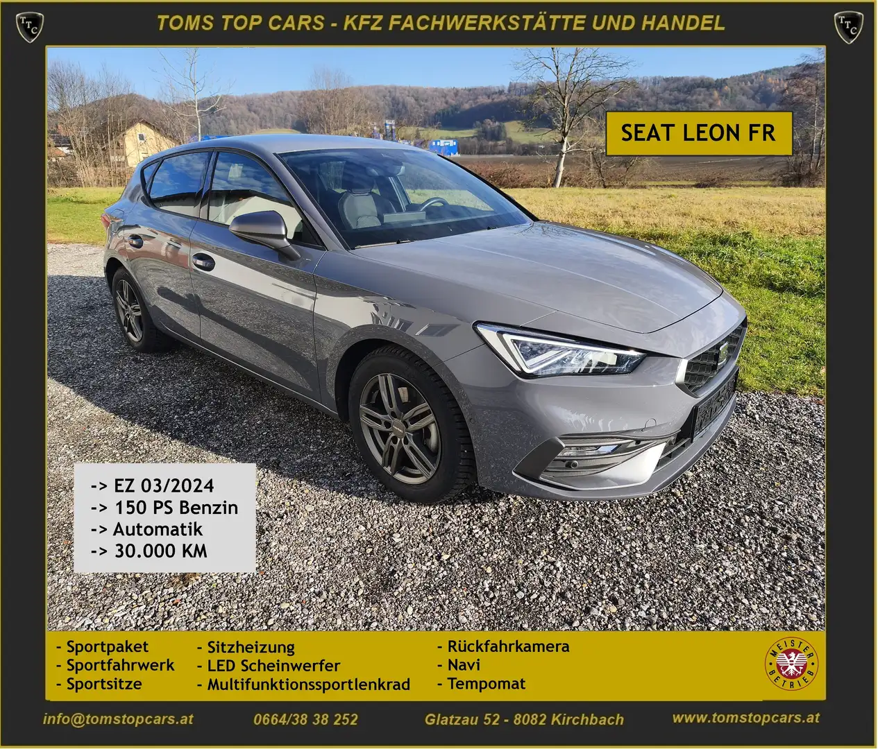 SEAT Leon FR Grau - 1