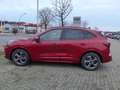 Ford Kuga 1.5 EcoBoost ST-LINE X LED-Matrix,AHK,Pano Rouge - thumbnail 14