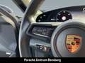 Porsche Taycan Grau - thumbnail 21