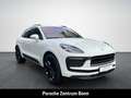 Porsche Macan Luftfederung 21-Zoll Rückfahrkamera LED Weiß - thumbnail 3