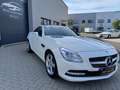 Mercedes-Benz SLK 250 Roadster BlueEff* Pano*Leder*Navi*Airscarf*SHZ Alb - thumbnail 2