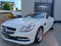 Mercedes-Benz SLK 250 Roadster BlueEff* Pano*Leder*Navi*Airscarf*SHZ Alb - thumbnail 1