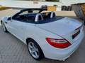 Mercedes-Benz SLK 250 Roadster BlueEff* Pano*Leder*Navi*Airscarf*SHZ Alb - thumbnail 7