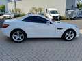 Mercedes-Benz SLK 250 Roadster BlueEff* Pano*Leder*Navi*Airscarf*SHZ Alb - thumbnail 8