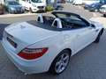 Mercedes-Benz SLK 250 Roadster BlueEff* Pano*Leder*Navi*Airscarf*SHZ Alb - thumbnail 6
