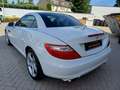 Mercedes-Benz SLK 250 Roadster BlueEff* Pano*Leder*Navi*Airscarf*SHZ Alb - thumbnail 5