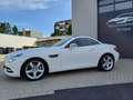 Mercedes-Benz SLK 250 Roadster BlueEff* Pano*Leder*Navi*Airscarf*SHZ Alb - thumbnail 3