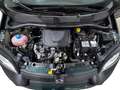 Fiat Panda FIAT 1.0 70CV HYBRID PANDINA Vert - thumbnail 13