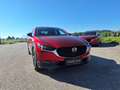 Mazda CX-30 e-Skyactive G140 AT Homura Rot - thumbnail 4