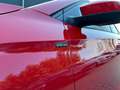 Skoda Fabia Special/DAB+/SHZ/EPH Rot - thumbnail 20