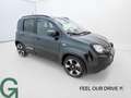 Fiat Panda Pandina 4x2 FireFly Grün - thumbnail 3