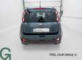 Fiat Panda Pandina 4x2 FireFly Grün - thumbnail 5