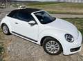 Volkswagen Beetle The Beetle Cabriolet 2.0 TDI BlueMotion Technology Weiß - thumbnail 2