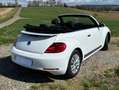 Volkswagen Beetle The Beetle Cabriolet 2.0 TDI BlueMotion Technology Weiß - thumbnail 6