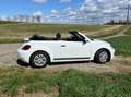 Volkswagen Beetle The Beetle Cabriolet 2.0 TDI BlueMotion Technology Weiß - thumbnail 1