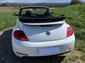Volkswagen Beetle The Beetle Cabriolet 2.0 TDI BlueMotion Technology Weiß - thumbnail 8