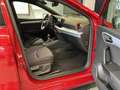SEAT Ibiza 1.0 TSI FR-LINE *BEATS *LED *ACC *RKAM *NAVI *SHZ Rouge - thumbnail 7