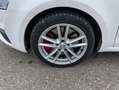 Skoda Octavia RS Combi 2.0 TDI 18"+AHK+XENON+GRA+SHZ+P Weiß - thumbnail 8