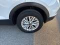 Volkswagen T-Roc 1.0 TSI Life Bianco - thumbnail 7