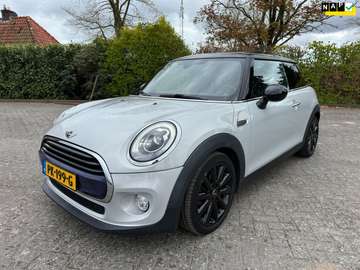 Mini 1.5 Chili Pano/Navi/Voll