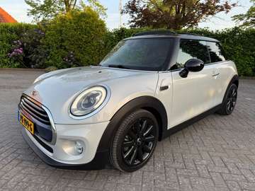 Mini 1.5 Chili Pano/Navi/Voll