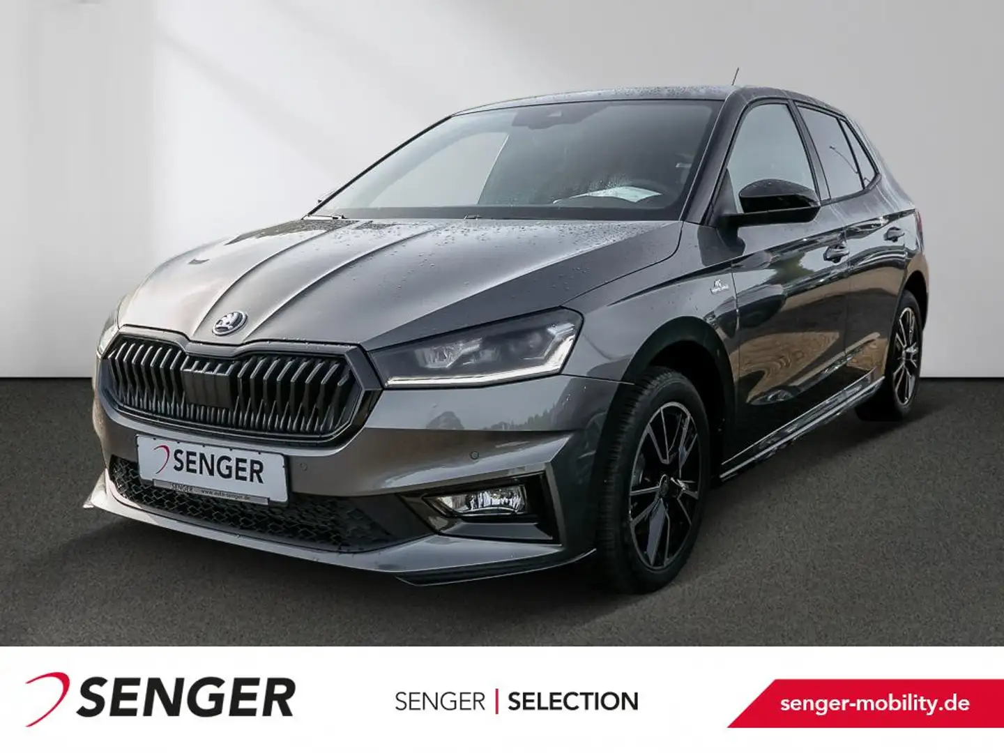 Skoda Fabia 1.0 TSI Monte Carlo DSG Nav Smart Link SHZ Grau - 1