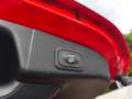 Ford Focus Active 125PS *Neues Modell*, LED, Navi,** Rot - thumbnail 13