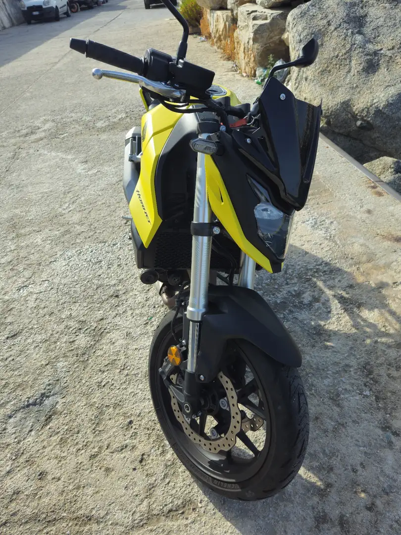 Honda Hornet sport Giallo - 2