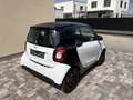 smart forTwo pure - thumbnail 4